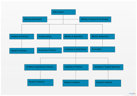 Bubble Chart Bubble Organizational Chart Is A Great Way To Illustrate How Departments Are Structured Use Creately Bubb Bubble Chart Chart Organization Chart