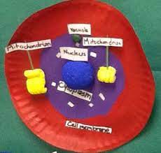 Check spelling or type a new query. 3d Animal Cell Project Basic Structure With Labels For 5th Grade Animal Cell Project Cells Project 3d Animal Cell Project