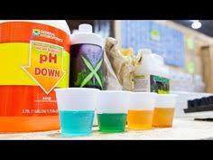 16 Hydroponics Nutrients Diy Ideas Hydroponics Nutrient Aquaponics