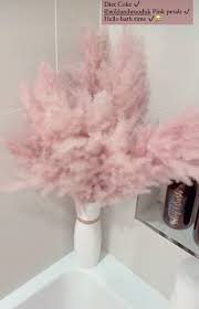 1,712,347 likes · 2,291 talking about this. Stacey Solomon Pampas Grass Mirror Pampas Grass Decor Soars In Popularity Due To Stacey Stacey Solomon Certainly Knows How To Go All Out When It Comes To Easter Sunday