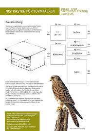 Nistkasten Fur Eulen Und Greifvogel Eulen Und Greifvogelstation Haringsee Nistkasten Raubvogel Nistkasten Bauen