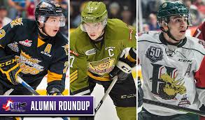 Warren foegele is a canadian professional ice hockey forward who currently plays with the carolina hurricanes in the national hockey league. April S Chl Alumni Roundup Chl