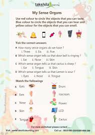 Worksheet For Cl1 Science My Sense Organs Jpg 2480 3508 Worksheets For Class 1 1st Grade Worksheets Worksheet For Class 2