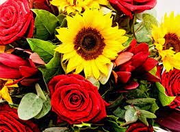 Sunflowers can mean adoration, pride, and sunshine. What You Need To Know About Sunflowers And Red Roses Pmcaonline