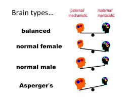 Asperger's syndrome and adhd are two conditions that both involve brain development. No Extreme Male Brain In Male Autistics Psychology Today Canada