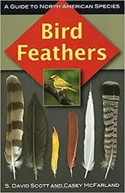Bird Feathers A Guide To North American Species Birds