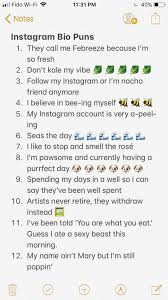 Bio Copy And Paste 200 Instagram Bio Ideas You Can Copy And Paste Oberlo Funny Instagram Captions Witty Instagram Captions Instagram Bio Quotes