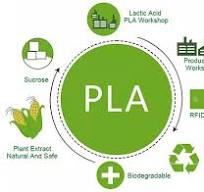 Biodegradable Polylactic Acid RFID PLA card
