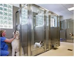 Our specialized and highly trained veterinarians provide urgent care for pets with a warm, friendly human touch. Woodhaven Veterinary Hospital Hospital Design Veterinary Hospital Hospital Design Veterinary