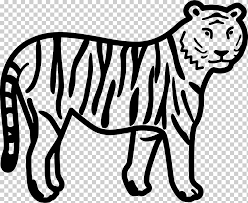 Se dice que los tigres blancos, en general, provienen de. Tigre Libro Para Colorear Adulto Tigre Blanco Mamifero Nino Png Klipartz
