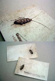 Hiring a professional pest control company may be the answer. 10 Pest Control Logos Ideas Pest Control Logo Pest Control Pests
