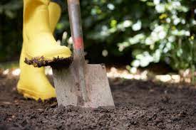 Check spelling or type a new query. Using Shovels In The Garden Types Of Garden Shovels And Their Uses