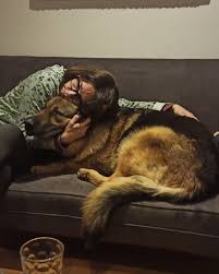 Anoche se fue mi Hugo amado, mi noble perro maravilloso, bueno y solemne de  casi 13 años. El candado de la casa. Mi perrito hermoso que me miraba con  sus ojitos negros,