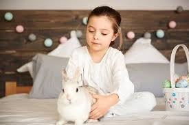 We will guide you on how to feed, benefits, health issues from all the fruits. Do Rabbits Eat Zucchini Plants Neeness