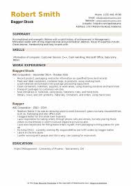 To show you how to craft a compelling resume objective at any stage of your career, we've provided five resume objective examples that anyone from a recent graduate to a proven professional can use. Bagger Resume Samples Qwikresume