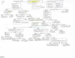 Flow Chart Microbiology Unknown Microbiology Microbiology Study Flow Chart