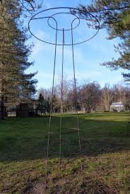 Tuteurs Pour Rosiers Grimpants Support Parapluie Pour Rosier Pleureur Rosier Grimpant Rosier Pleureur Rosier