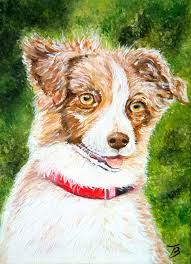 Lignee travail = pas adapté en chien de famille. Chiot Border Collie Marron Painting By Daniele Kechidi Artmajeur
