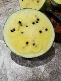 Image result for Citrullus lanatus