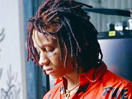 Плакат, постер на холсте Trippie Redd/Триппи Рэдд/музыкальные/поп  исполнитель/артист/поп-звезда/группа. Размер 42 х 60 см — купить в  интернет-магазине на Яндекс Маркете