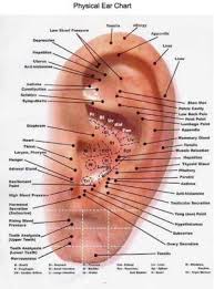 Auricular Acupuncture Chart Acupressure Treatment