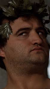 not all heroes wear capes... 🎥 Animal...