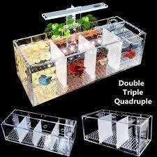 Acrylic Aquarium Baby Betta Fish Tank Led Light Breeding Hatchery Box 2 3 4 Grid Ebay Baby Betta Fish Betta Fish Tank Acrylic Aquarium