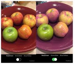 If you only use one filter, use the greyscale filter which will not only point out. A New Microsoft Msft App Filters The World To Help Colorblind People See Color Quartz