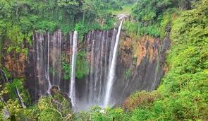 Anda akan di suguhi panorama perbukitan bromo yang indah, menyusuri lautan pasir dan mendaki perbukitan dengan jeep yang tangguh menuju penanjakan 1 gunung bromo. Transcit Com Travel Antar Jemput Paket Rental Mobil Sewa Motor Tours Travel Aman Dan Terpercaya Artikel