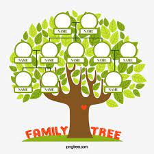 شجرة العائلة شجرة العائلة شجرة صلة png وملف psd للتحميل مجانا family tree tree family relationships