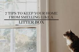 7 Tips To Keep Your Home From Smelling Like A Litter Box Cat Training Litter Box Cat Litter Smell Litter Box
