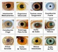 Read Iridology Chart Heres A Quick Way To Let You Know