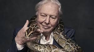 David attenborough cemented his third straight win at tonight's creative artists emmy awards, taking home the emmy for outstanding narration for his work on the bbc america documentary seven. David Attenborough Wife Age Children Net Worth Died Health Tv Shows Celeb Tattler