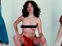 Amanda Seyfried worried nude porn role in Lovelace could have ruined her  career - Mirror Online