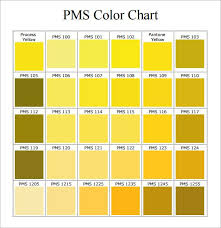 pms color chart pdf in 2019 pms color chart pms colour