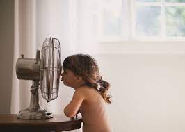 We did not find results for: 8 Trick Mudah Sejuk Kan Kediaman Untuk Rumah Yang Tak Ada Air Cond Impiana