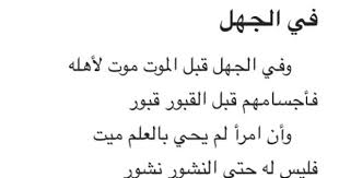 في الجهل المتنبي Proverbs Quotes Spoken Word Poetry Spoken Word Poetry Poems