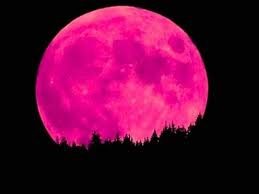 Pink feat willow sage hart cover me in sunshine (2021). Uae To See Pink Moon Supermoon On April 27 Uae Gulf News