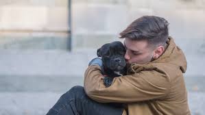 Follow all rspca south australia policies and guidelines. Foster Animal Compassion Team