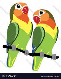 Pair Of Cartoon Parrots Fischer Lovebirds Agapornis Isolated On White Download A Free Preview Or High Quality Adobe Illustrat Cartoon Love Birds Vector Images