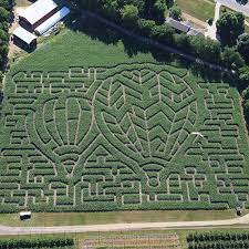 Explore Our 6 Acre Corn Maze At Gull Meadow Farms In Richland Michigan Corn Maze Maze Pure Michigan