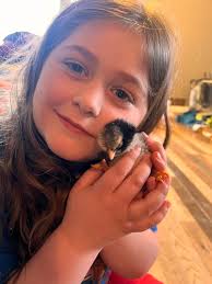 Will we get a third egg today?