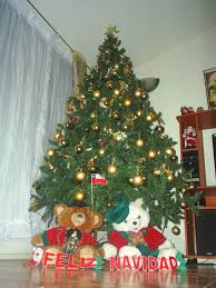 Navidad (comuna) — navidad es una comuna de chile de la provincia de cardenal caro, en la vi región del libertador general bernardo o higgins integra junto con las comunas de placilla. Arbol De Navidad De Geovanni Navarrete Chiguayante Chile