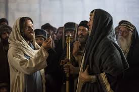 And, behold, a beam is in thine own eye? 047 Don T Swallow The Camel Podcast Taylor Marshall