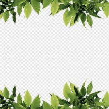 Jun 28, 2018 · beautiful leaves will help your flowers much more beautiful. Green Leaves Green Leaf Computer File Green Leaves Border Border Frame Watercolor Leaves Png Pngwing