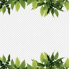 Dynamic leaf, green leafed illustration, leaf, maple leaf png. Green Leaves Green Leaf Computer File Green Leaves Border Border Frame Watercolor Leaves Png Pngwing