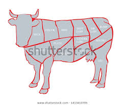 Cow Cut Beef Beef Chart Diagram Stock Vector Royalty Free