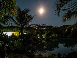 When to see december's full moon. Royalty Free Photo Pond With Trees At Night With Moon Pickpik