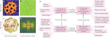 For over 15 years, matter has been helping some of the most demanding organizations in the world to solve complex problems, accelerate change, and share these solutions with the world. Computational Models For Active Matter Nature Reviews Physics