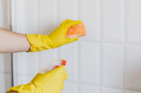 Specialised pest control solutions for your home. Home Decor Guide How To Keep Your Home Pest Free Architectural Digest India